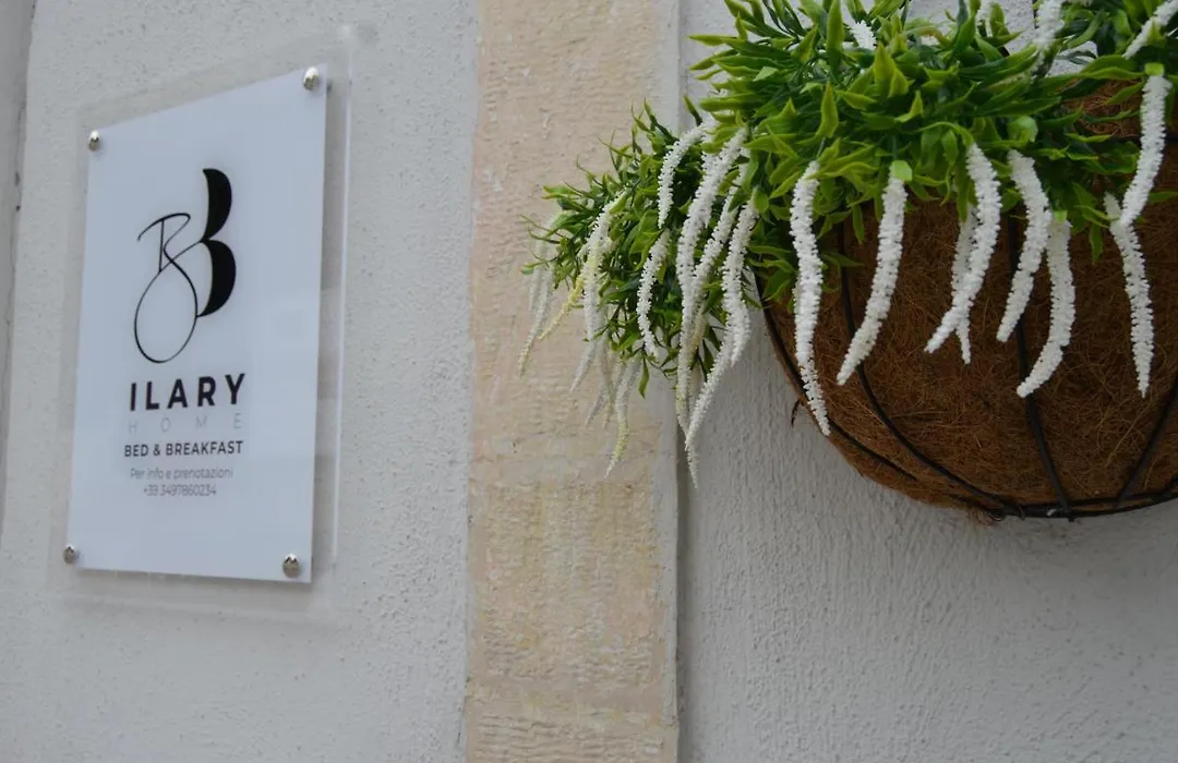 B&B Ilary Home-1