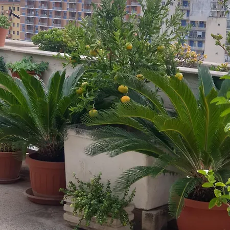 B&B GANAJ La terrazza di Ganaj BARI-2