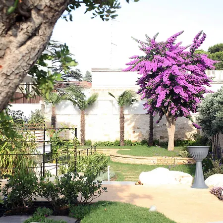 Villa Pina-3